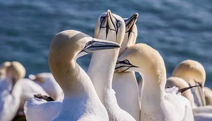 爱游戏体育app-高光时刻：那些场上经典瞬间难以忘怀！，高光时刻的歌曲