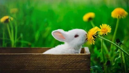 亚洲杯国足迎战 球迷热情高涨，亚洲杯国足首战