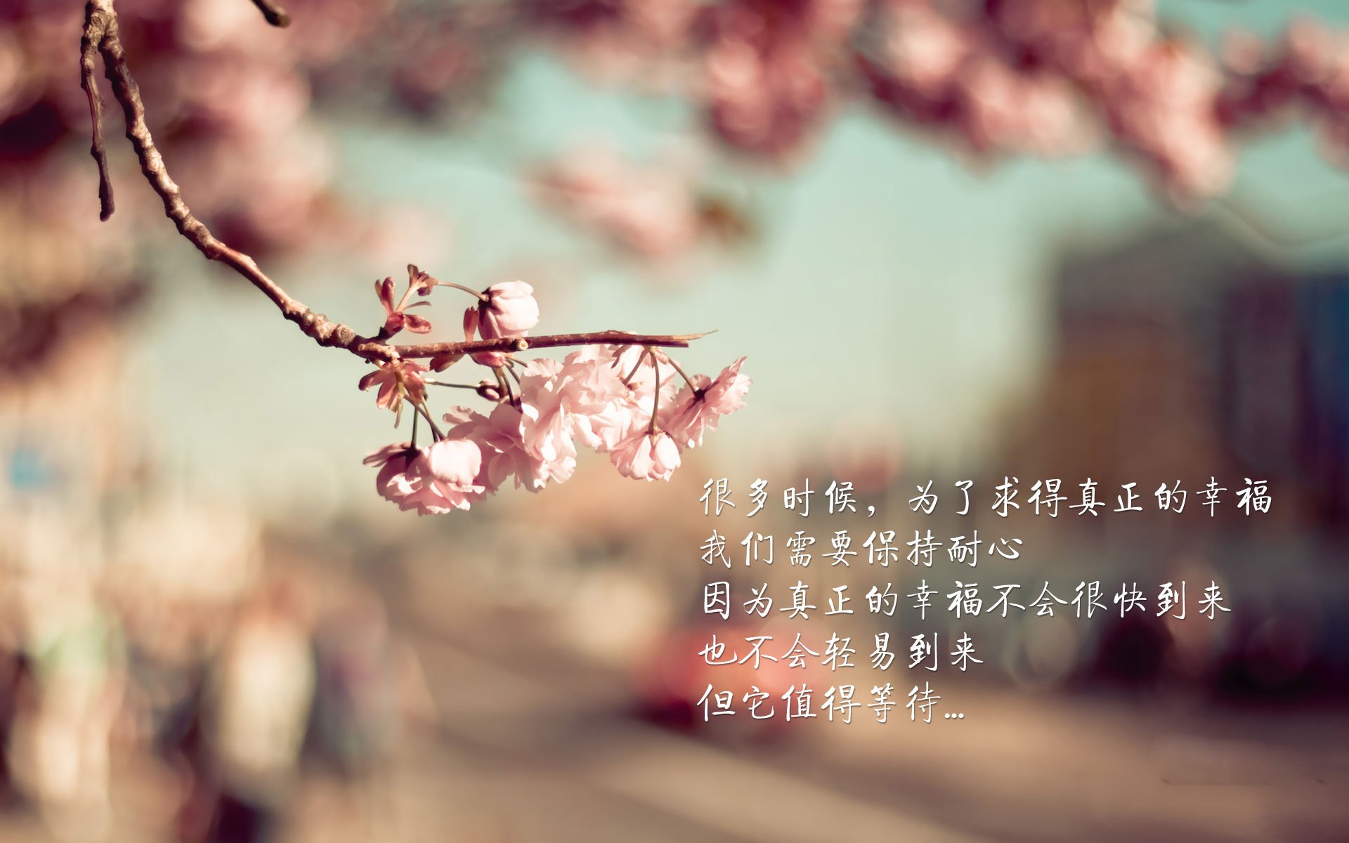 【Judge怒刷纪录】亚伦·贾奇达成单赛季最多全垒打