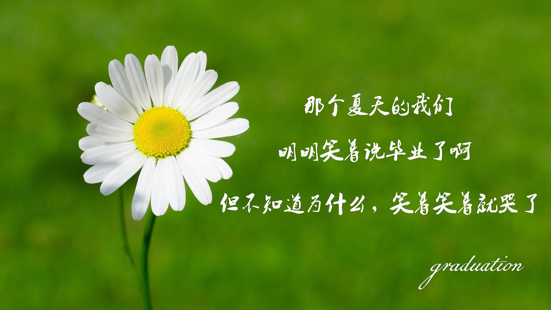 刻苦耐劳：球队的幕后训练日常，足坛训练刻苦球星