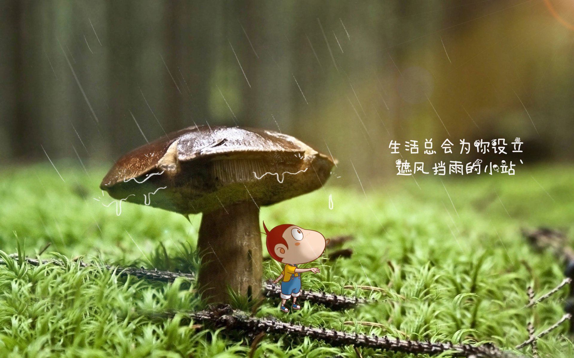热刺惊险逆转，主场取胜提升排名，热刺进攻