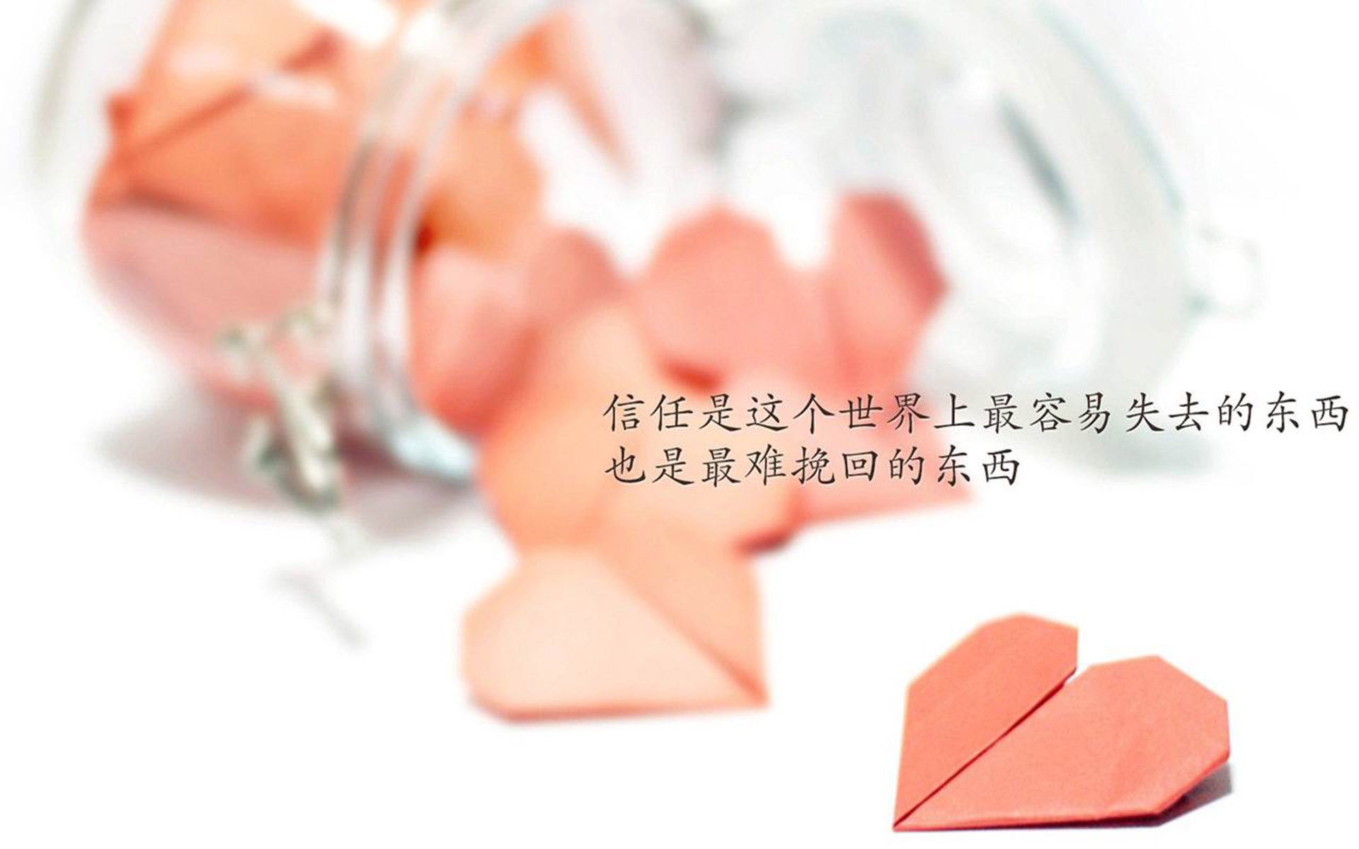 葡萄牙体育连续两年夺得葡超冠军，展现强大统治力。，葡萄牙超级联赛冠军