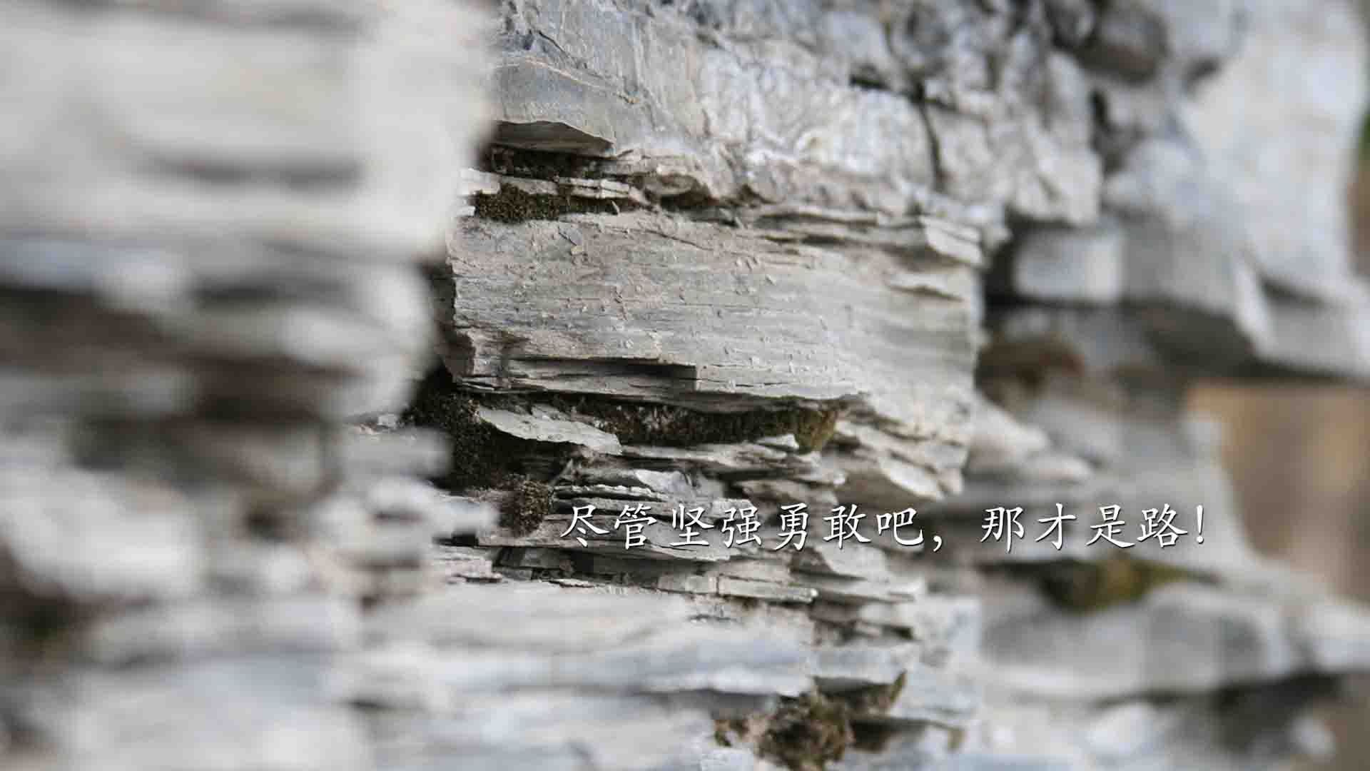 马德里竞技战平亚特兰大，遗憾丢失胜利，马德里竞技战绩