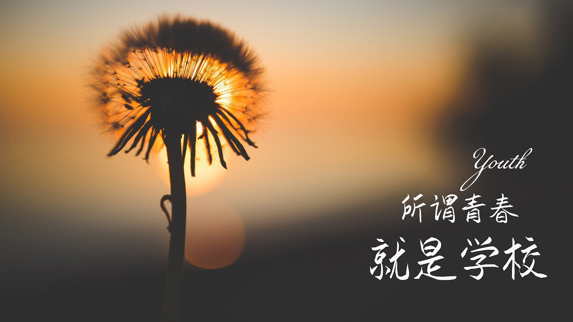 基层赛事曝光率低影响社会关注度，基层赛事曝光率低影响社会关注度吗