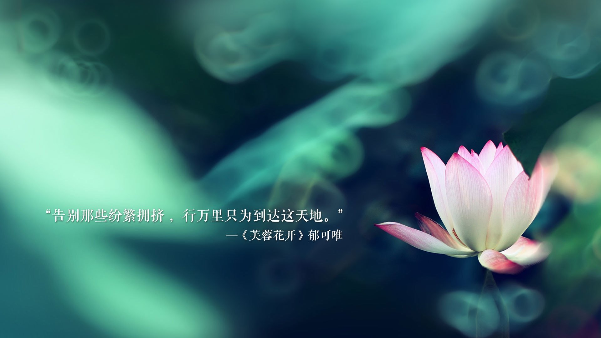 恩多耶-布鲁阿尔精准配速成就胜利关键，多恩布什 圣才