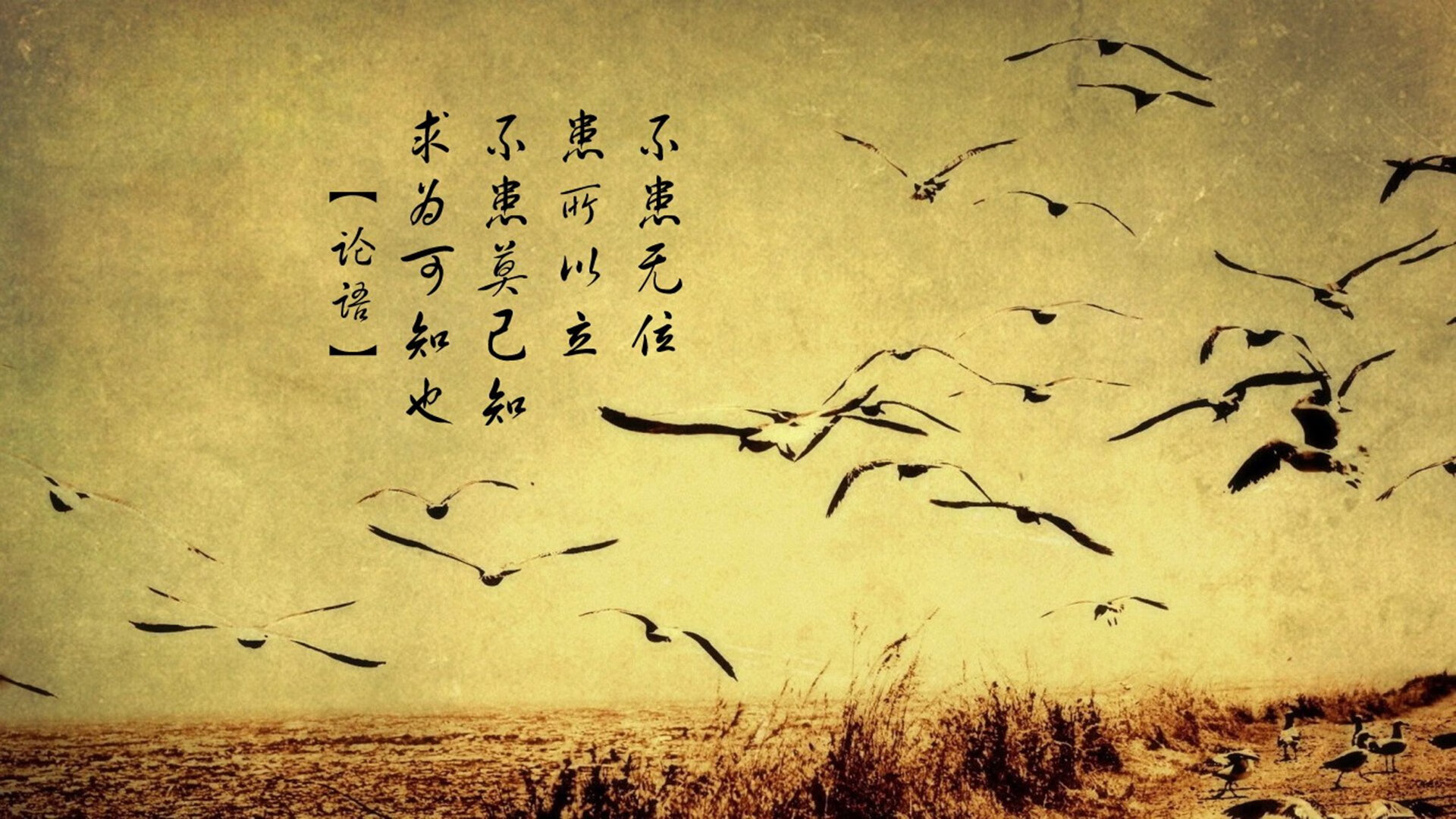 老鹰重点培养新秀后场轮换焕发活力，老鹰的新秀